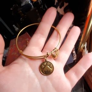Alex and Ani bracelet